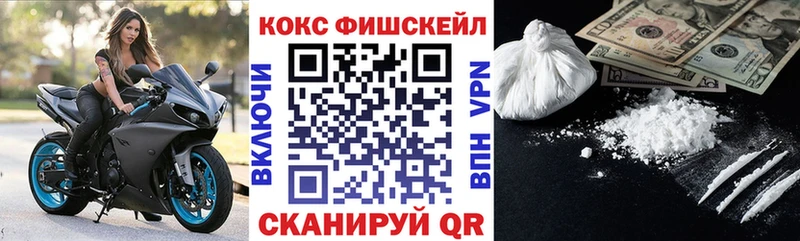 где продают наркотики  Злынка  COCAIN FishScale 