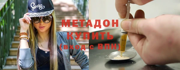 индика Данков
