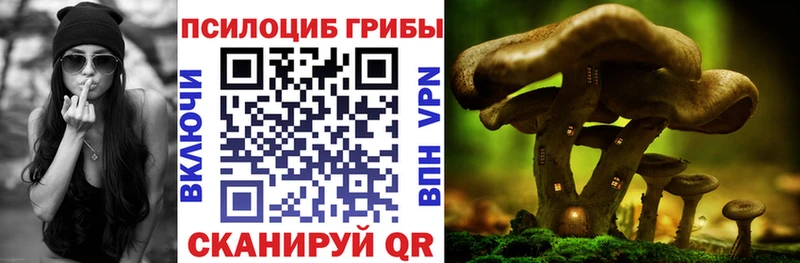 Галлюциногенные грибы ЛСД  Злынка 